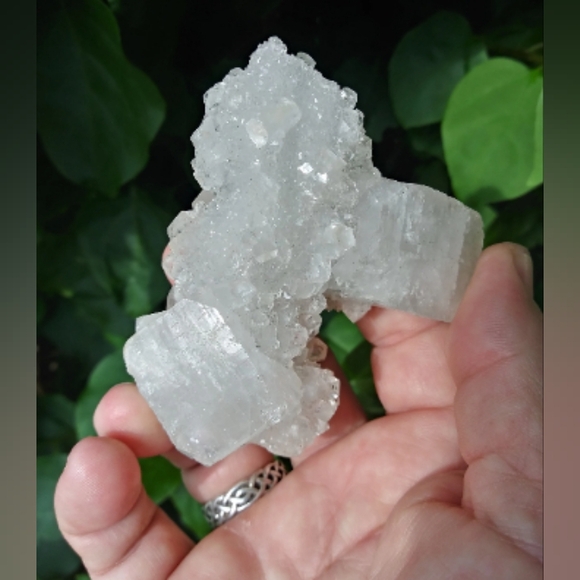 Apophyllite Crystal Cluster - Picture 5 of 10